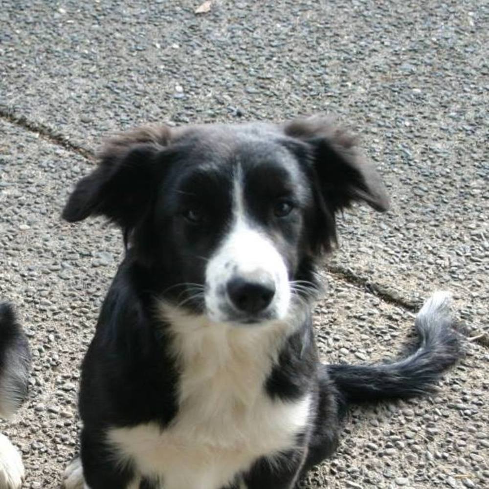 Meet your Posher, Dawn